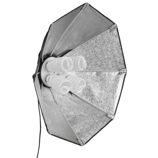 walimex pro Daylight 1000 mit Octagon