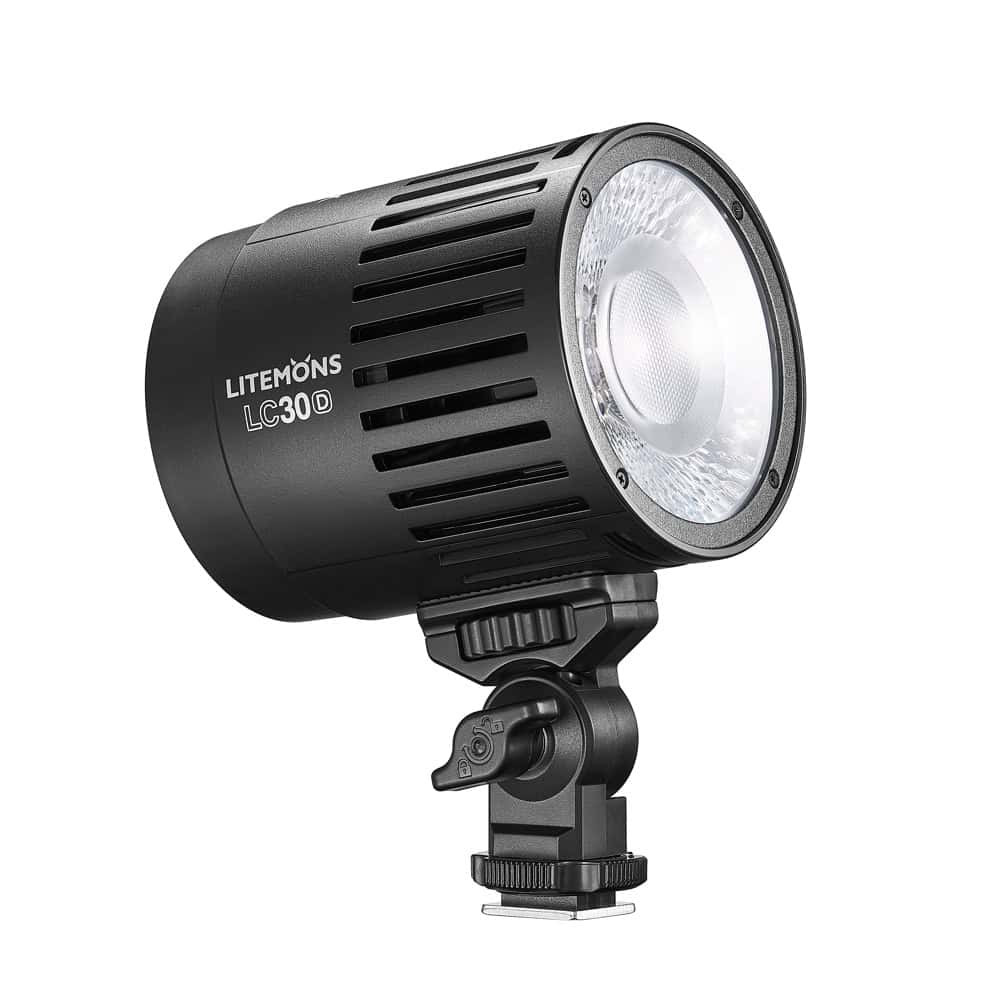 Godox Litemons LED Double Light Kit Daylight