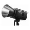 Godox LE300Bi Litemons LED