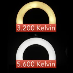 LED-Ringleuchte Medow 960 Pro ø45cm