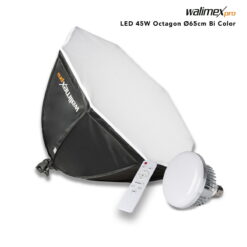 LED 45W Octagon ⌀65cm BiColor