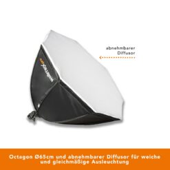 LED 45W Octagon ⌀65cm BiColor
