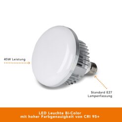 LED 45W Octagon ⌀65cm BiColor