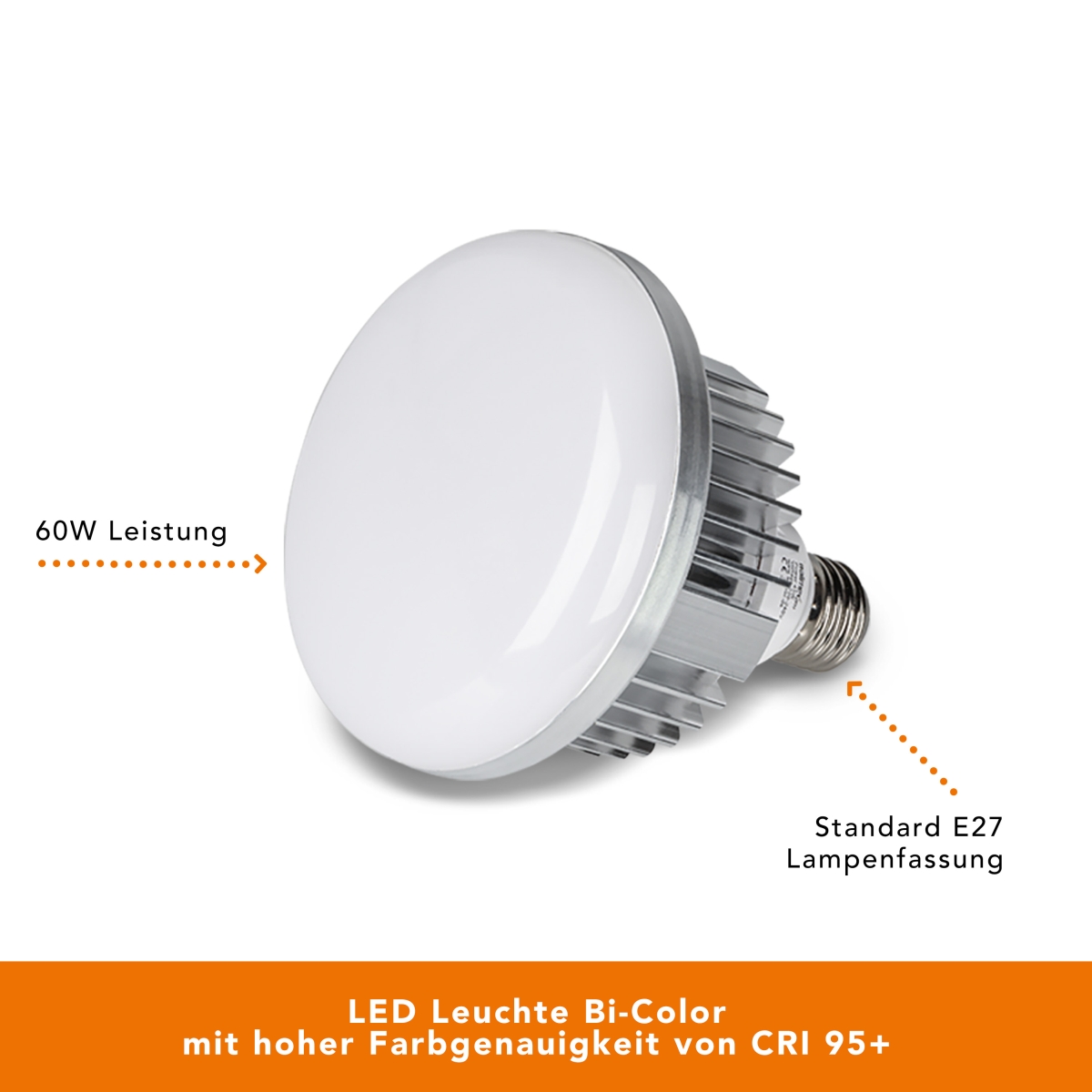 LED 60W Softbox 40x60cm BiColor