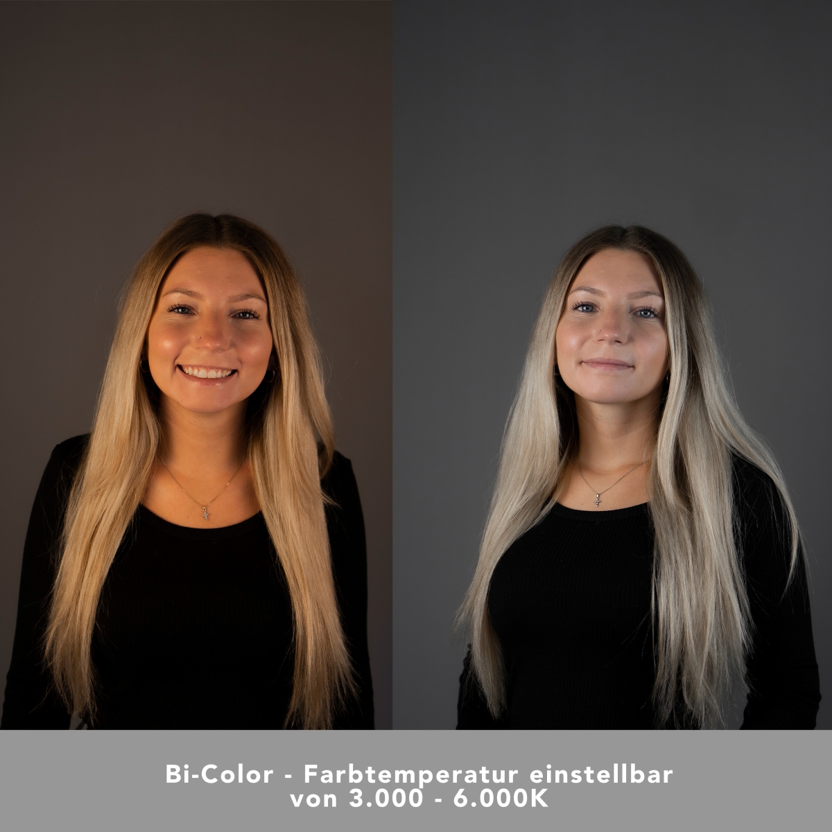 LED 60W Softbox 40x60cm BiColor