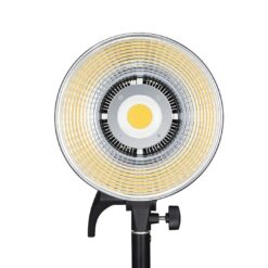 LED SL100D Daylight
