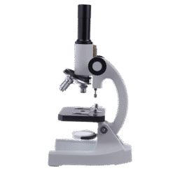 Study BYO-10