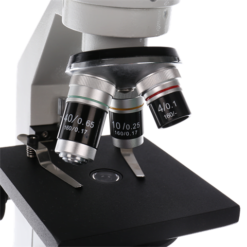 Study BYO-30