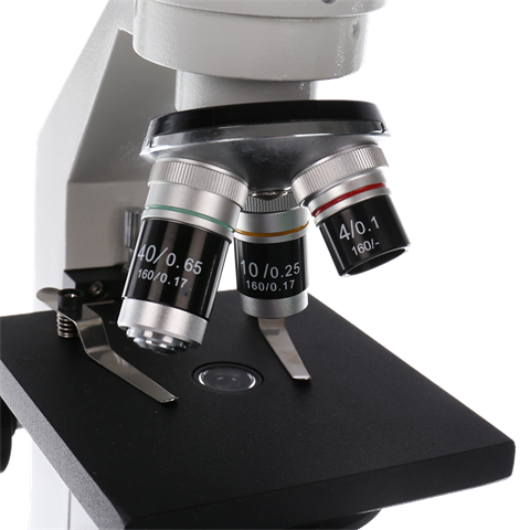 Study BYO-30