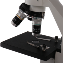 Study BYO-30