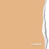 Hintergrundkarton Cashmere 1,35x11m