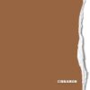 Hintergrundkarton Cinnamon 2,18x11m
