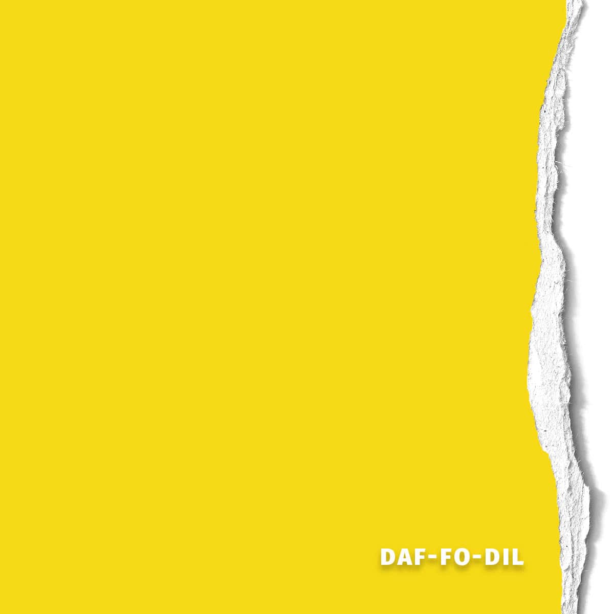 Hintergrundkarton Daf-Fo-Dil 2,75x11m