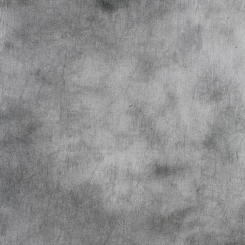 Falcon Eyes Stoffhintergrund 2,9x7m