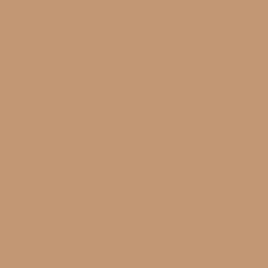 Hintergrundkarton Latte 2,75x11m