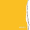 Hintergrundkarton Marigold 1,35x11m