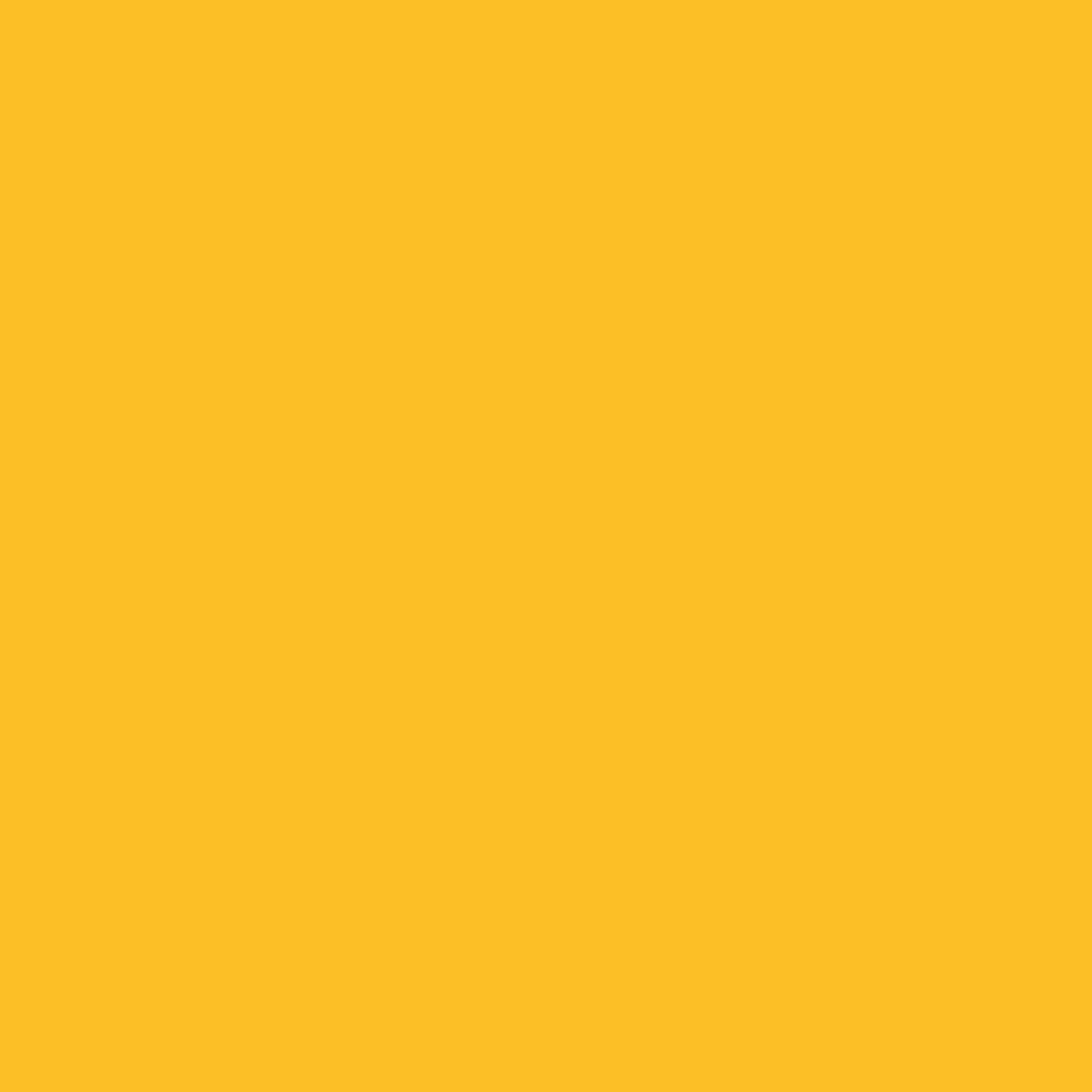 Hintergrundkarton Marigold 2,18x11m