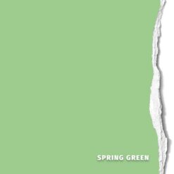 Hintergrundkarton Spring Green 2,18x11m