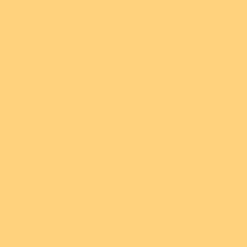 Hintergrundkarton Straw 1,35x11m