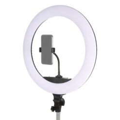 LED Ringleuchte 650 ø53cm