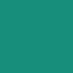 Hintergrundkarton Teal 1,35x11m
